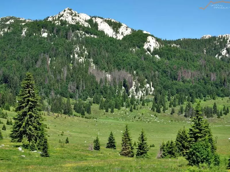 velebit